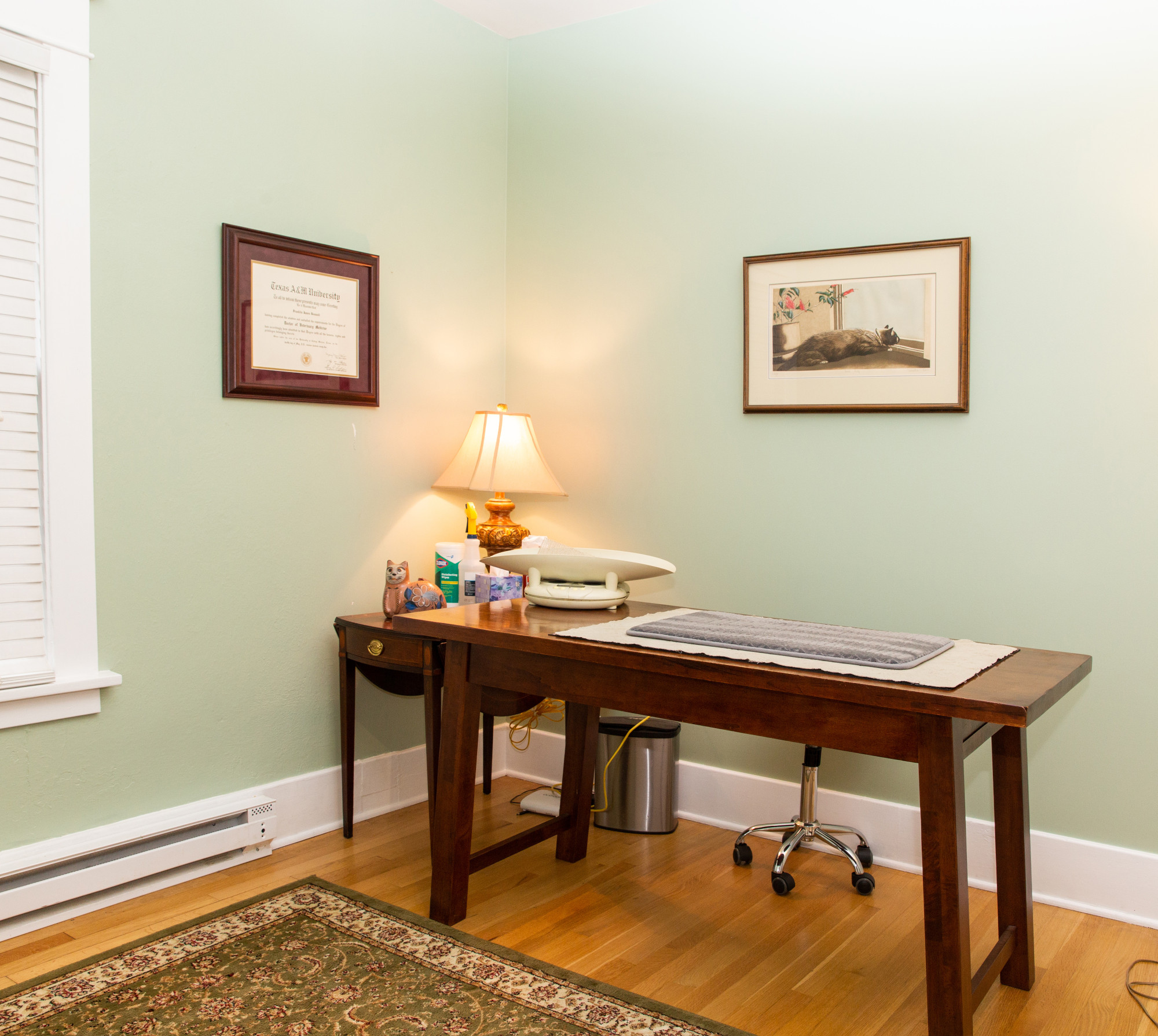 our exam rooms are like a room in your home